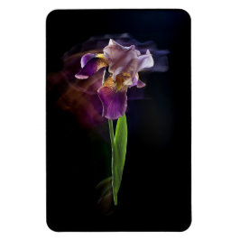 Íman Íris Floral Abstrata – Arte Floral Elegante