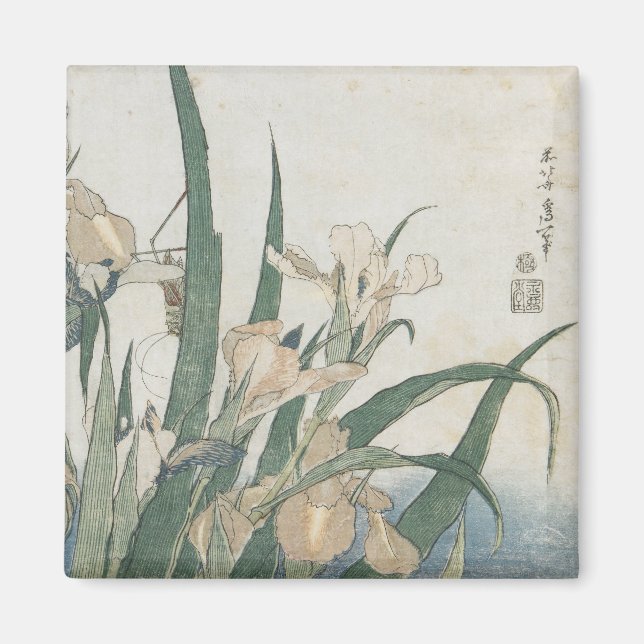 Íman Iris Flowers and Grafopper, c.1830-31 (Frente)