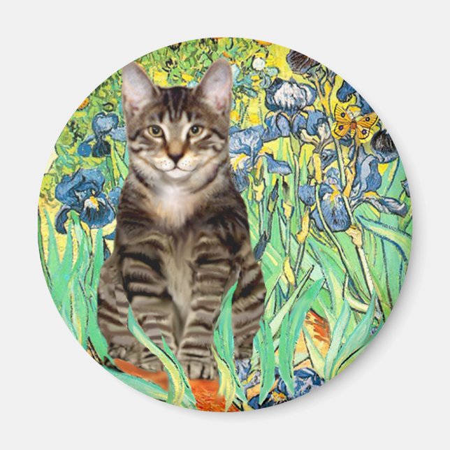 Íman Íris - gato tigrado 30 (Frente)