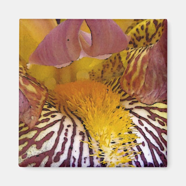 Íman Íris íntima (Frente)