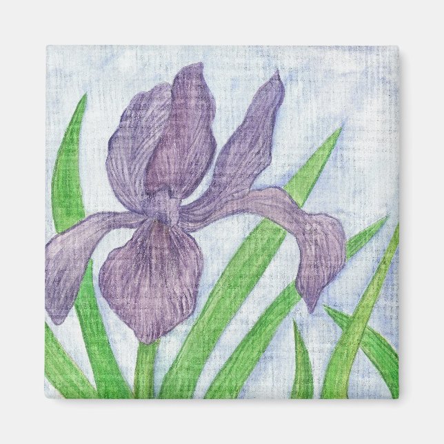 Íman Iris Magnet (Frente)