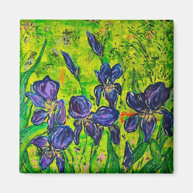 Íman Iris Magnet (Frente)