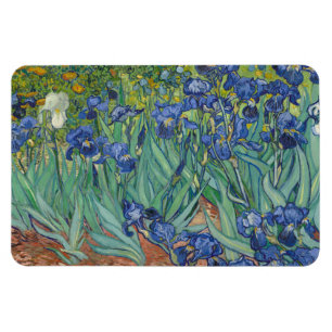 Íman Íris, Pintura a Óleo Floral, Vincent Van Gogh