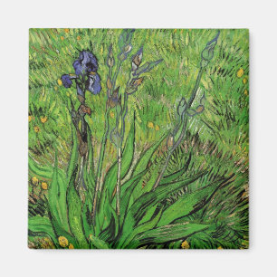 Íman Íris por Vincent van Gogh, belas artes do jardim
