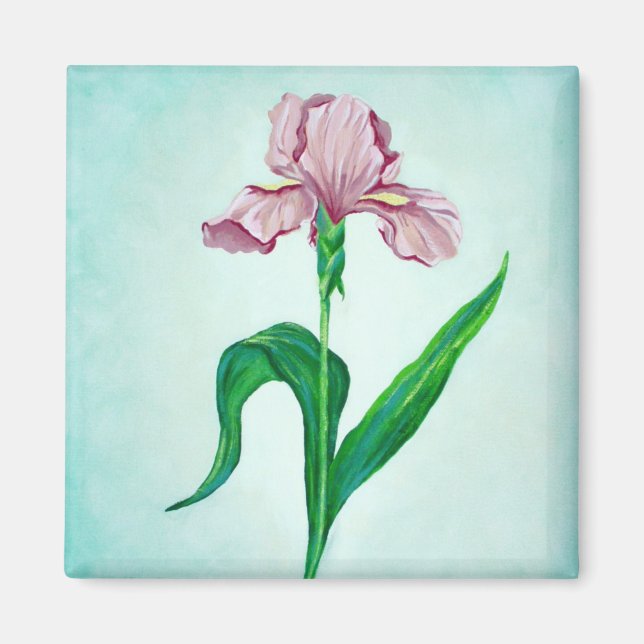 Íman Íris rosa (Frente)