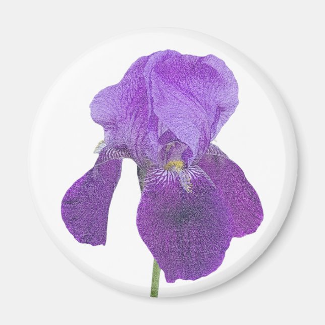Íman Íris Roxo (Frente)