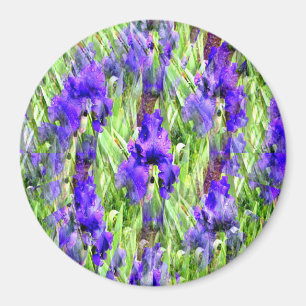 Íman Iris Twirl.....