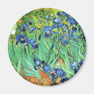 Íman Íris - Vincent van Gogh (1889)