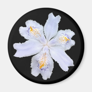 Íman Iris White
