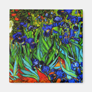Íman Irises, a famosa pintura floral de Van Gogh