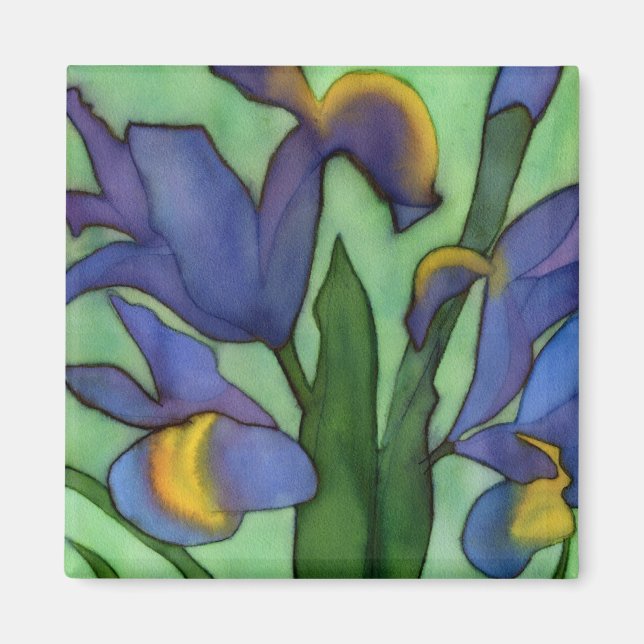 Íman Irises Magnet (Frente)