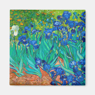 Íman Irises, Vincent van Gogh