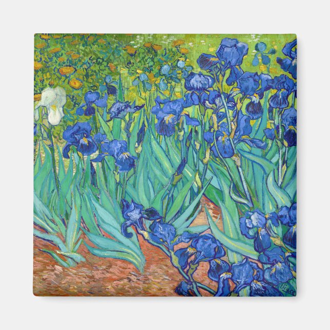 Íman Irises, Vincent van Gogh (Frente)
