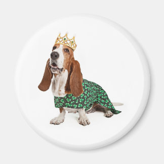 Íman Irish Princess Basset