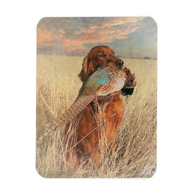 Íman Irish Setter com faisão (Vertical)
