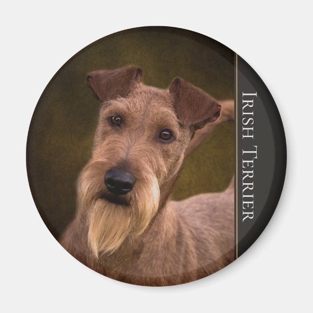 Íman Irish Terrier Magnet (Frente)