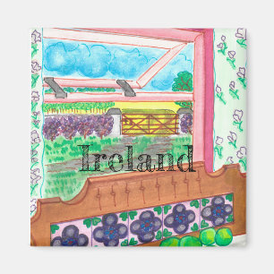 Íman Irlanda