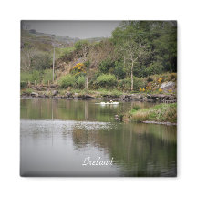 Irlanda, County Cork, Lake, Swans, Fotografia