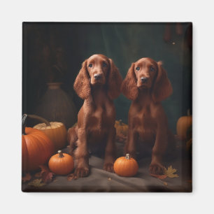 Íman Irlandês Red Setter Puppy Autumn Delight Pumpkin
