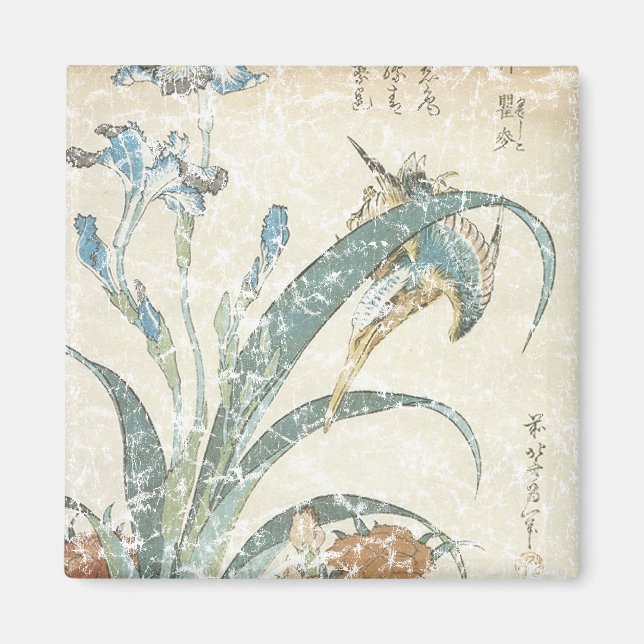 Íman Irlandeses e Kingfisher (Frente)