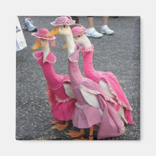 Íman Irmãs Goose Magnet