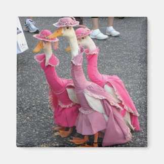 Íman Irmãs Goose Magnet