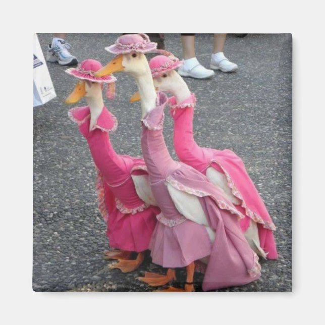 Íman Irmãs Goose Magnet (Frente)