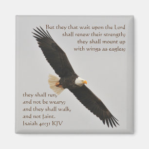 Íman Isaiah 40:31 Mas eles que esperam pelo Senhor