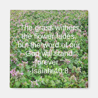 Íman Isaiah 40:8 Flor Bíblica