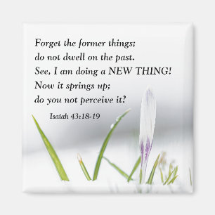 Íman Isaiah 43:18 Eu estou fazendo uma Bíblia NOVA COIS