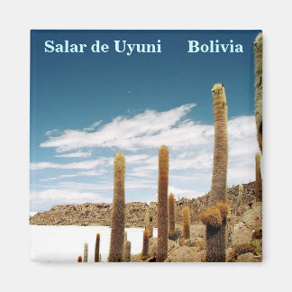 Íman Isla del Pescado, Salar de Uyuni, Bolívia