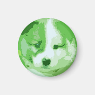 Íman Islandhund