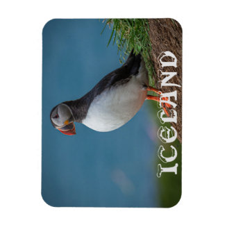 ÍMAN  ISLÂNDIA PUFFIN MAGNET