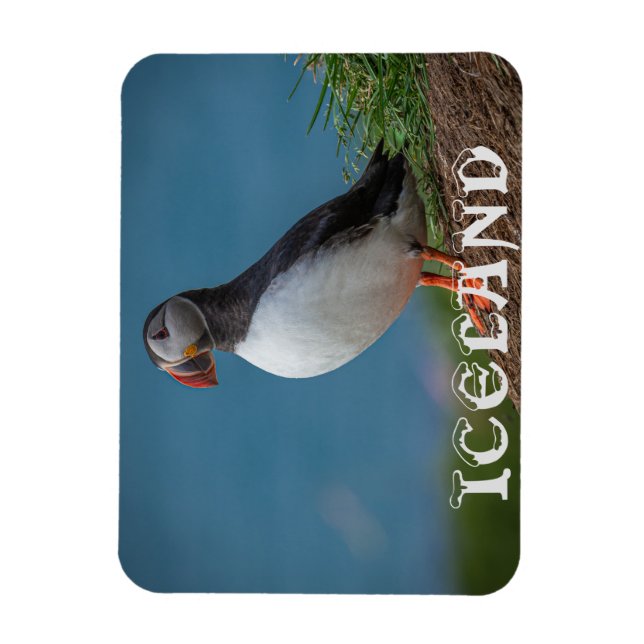 ÍMAN  ISLÂNDIA PUFFIN MAGNET (Vertical)