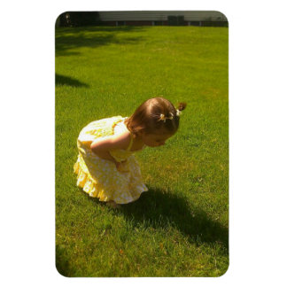 Íman Isso é um gafanhoto? Ginger Leigh Premium Flexi