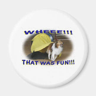 Íman Isso foi divertido