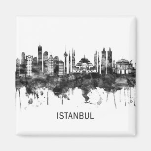 Íman Istambul Turquia Skyline BW