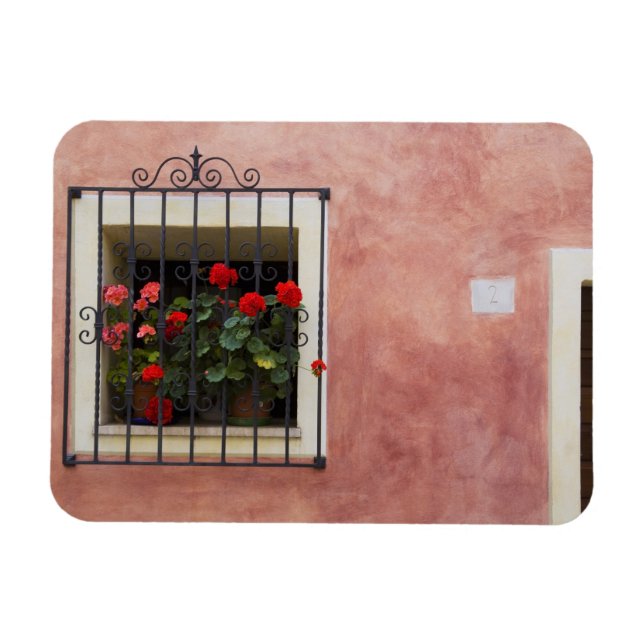 Íman Itália, Asciano, Caixas de Janela com Primavera Fr (Horizontal)