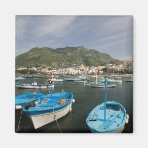 Íman ITÁLIA, Campânia, (Baía de Nápoles), ISCHIA, FORIO