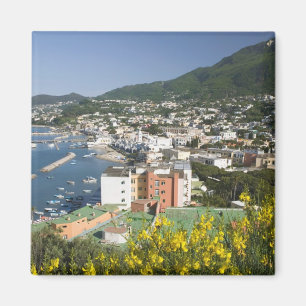 Íman ITÁLIA, Campânia, (Baía de Nápoles), ISCHIA, LACCO