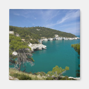 Íman Itália, Puglia, Promontório do Gargano, Testa