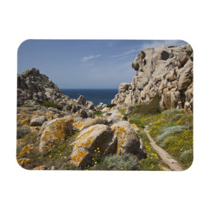 Íman Itália, Sardenha, Santa Teresa Gallura. Capo 2