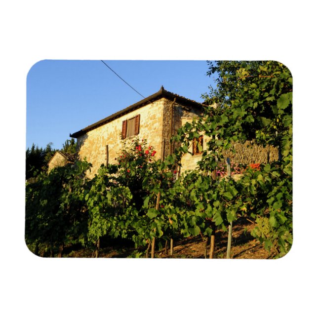 Íman Itália, Toscana, Greve. Cenas de vinho no final do (Horizontal)