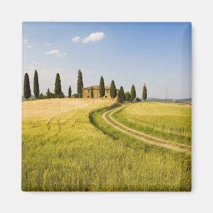 Íman Itália, Toscana, Villa Toscana perto da Colheita.