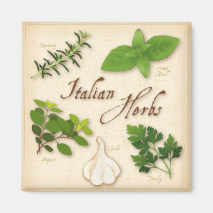 Íman Italian Herbs, Basil, Oregano, Parsley, Garlic