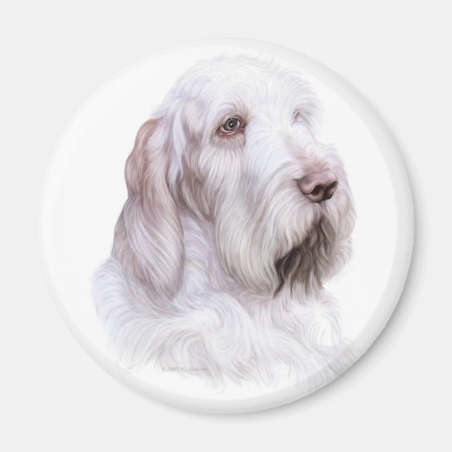 Íman Italiano Spinone Italiano (Frente)