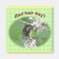 Itens de Coordenação de Voo de Dia do Cabelo Incor
