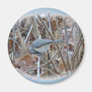 Íman Itens de Coordenada do Comboio do Titmouse Tufted