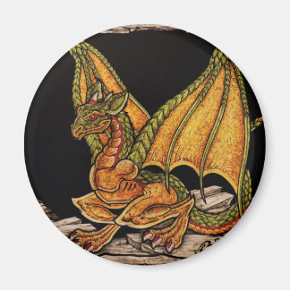 Íman Itens do Dragão Bebê