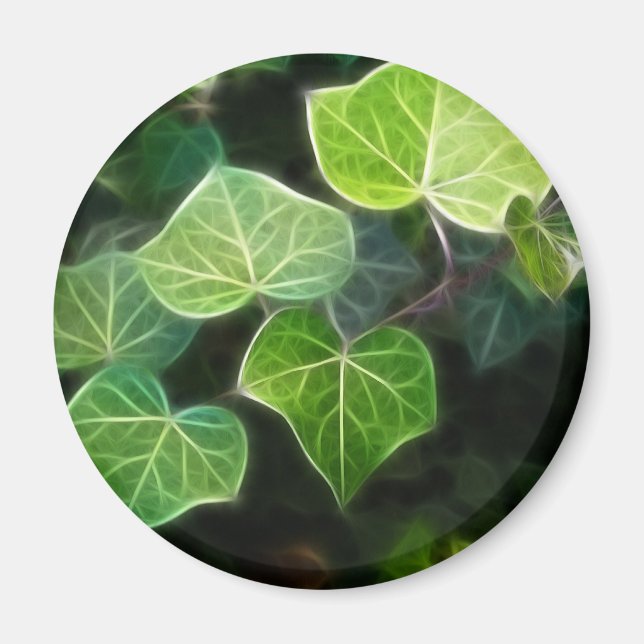 Íman Ivy Vine 4 (Frente)